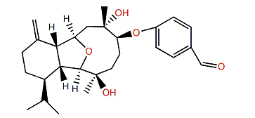 Klyxumollin D
